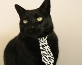 印度乒乓赛制未来展望：提升技术、优化赛程，印度乒乓球员