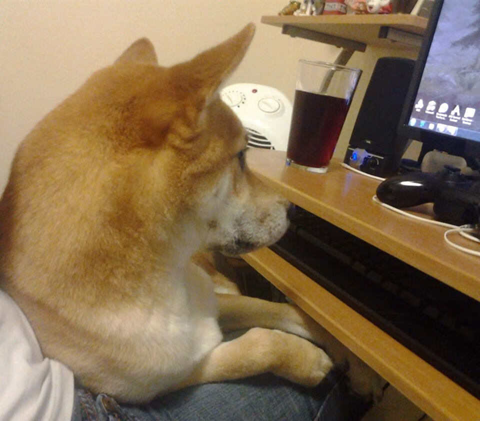 印度乒乓赛制未来展望：提升技术、优化赛程，印度乒乓球员