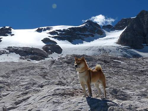 意大利短蛙新星西蒙再写突破一刻